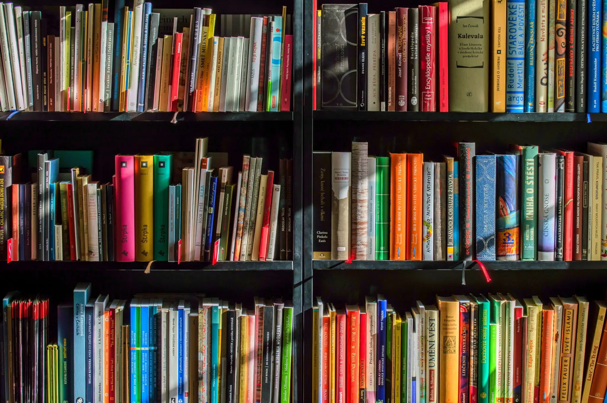 international literacy day