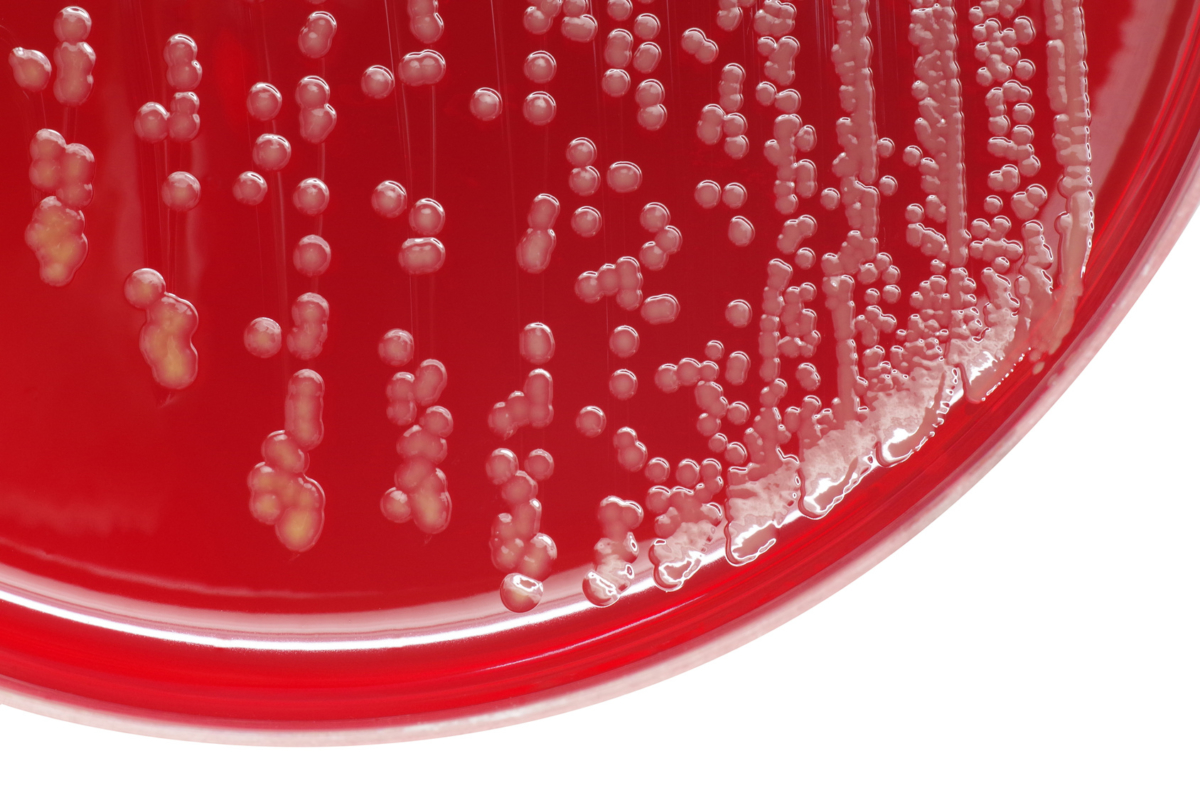 Coatings Network Fights Against Future Pandemics COST