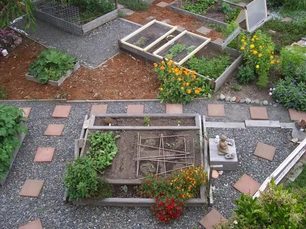 Urban Agriculture 