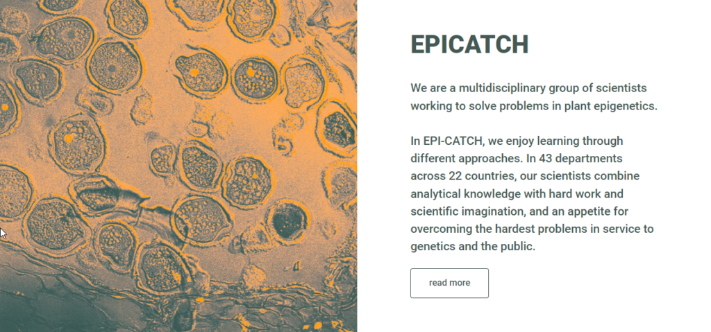 EPICATCH