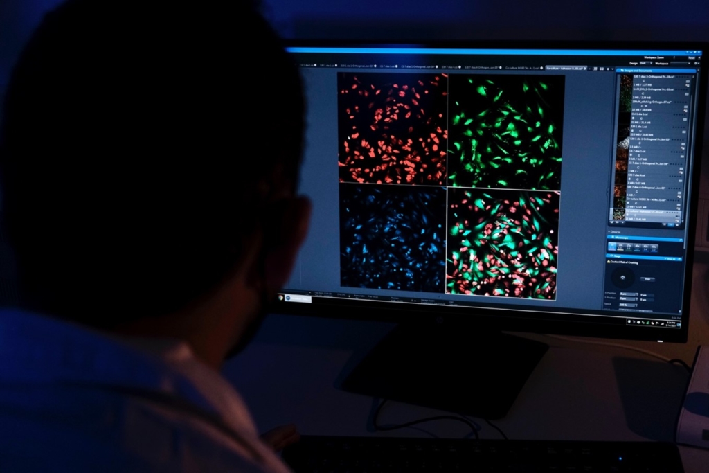 Photo taken from behind a person looking at a computer screen. On the screen are blue, red, green and white images of cells