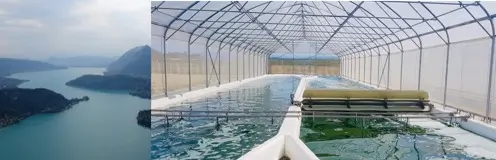 Two photos side-by-side. On the left an aerial photo of a lake, on the right a photo of a pond covered by a greenhouse where algae is produced