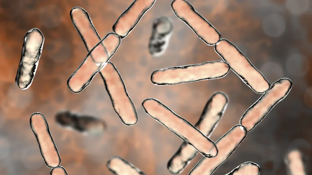 Macro photo of microbes