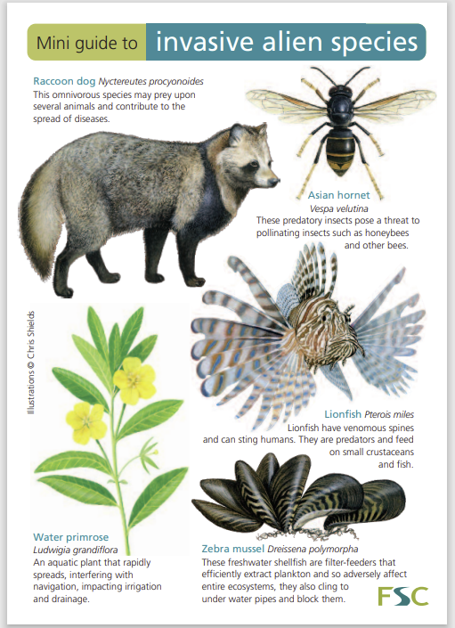 Long read reducing the invasion of alien species