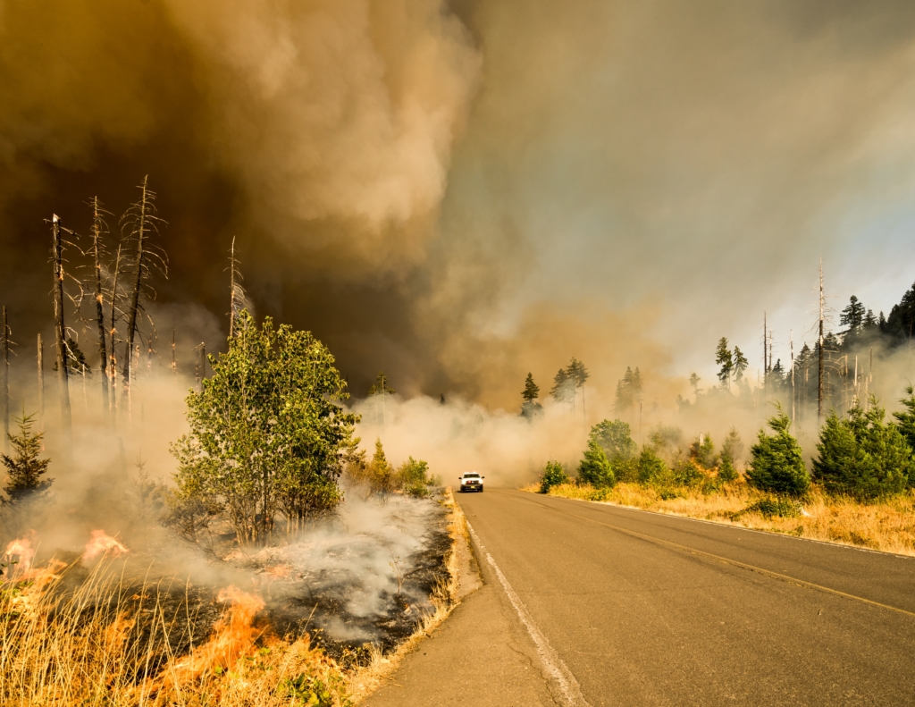 burning vegetation on both sides of the road