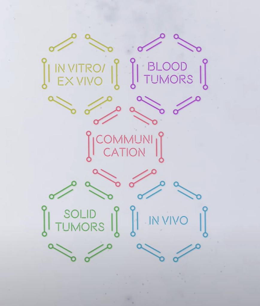 Graphic to illustrate the IMMUNO-model structure:
WG1 • In vitro and ex vivo cancer immunotherapy models
WG2 • In vivo cancer immunotherapy models
WG3 • Solid tumors
WG4 • Hematologic tumors
WG5 • Communication, events and partnering with industry