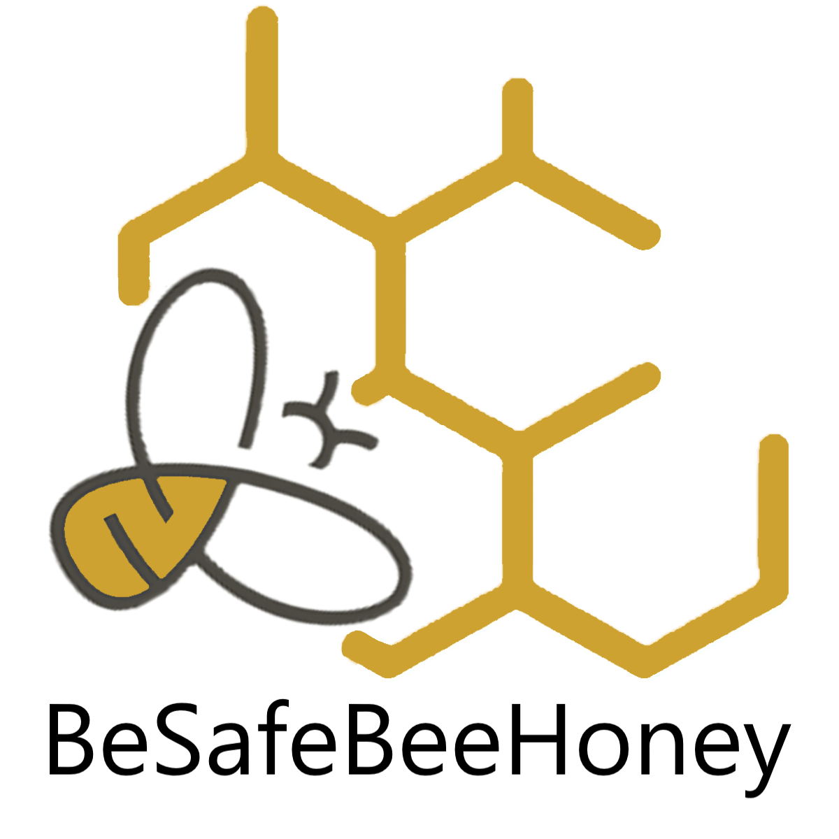 Introducing BeSafeBeeHoney on World Bee Day