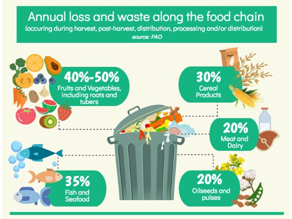 FAO Food loss and waste